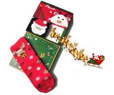 JIEERLI / Подарочный набор носки с принтом "MERRY CHRISTMAS"